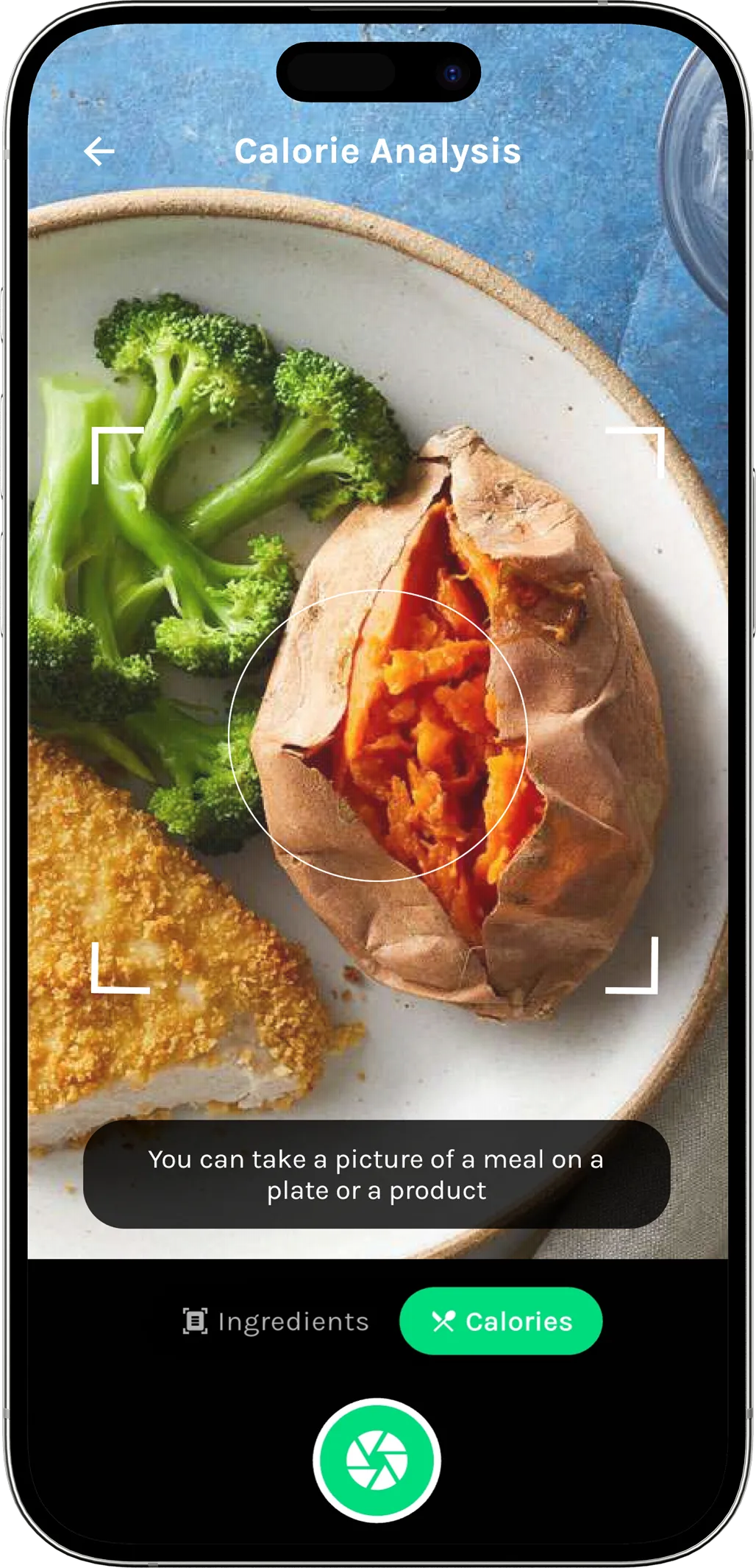 ShelfScan app scanning food ingredients on a smartphone screen
